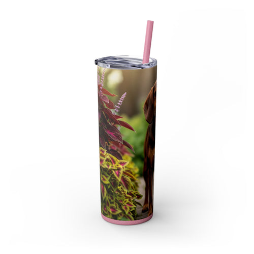 Skinny Tumbler with Straw – 20 oz Stainless Steel Cup