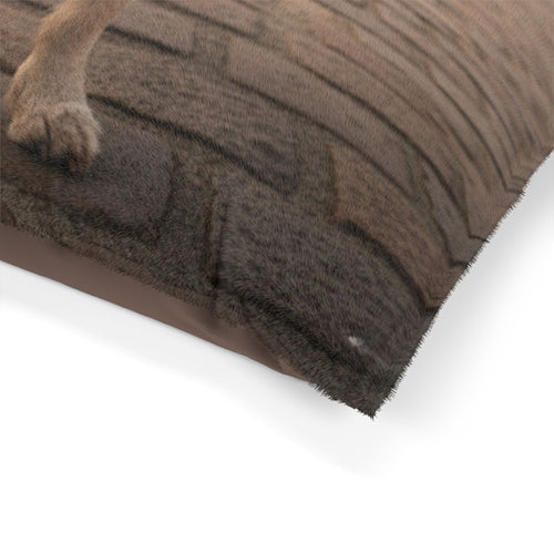Petit Basset Griffon Pet Bed