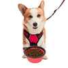 Collapsible Silicone Travel Bowls - 12oz