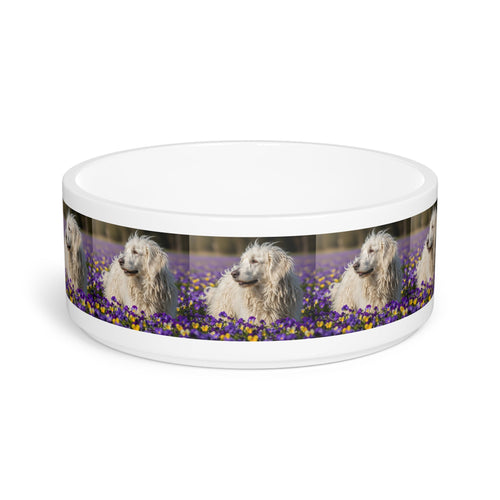 Ceramic Pet Bowl – 16 oz Dog Feeding Bowl