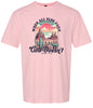 God Doesn't Fail Adult Gildan Soft Shirt