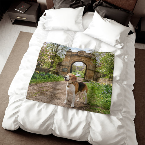 Beagle Blanket