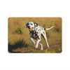 Non-Slip Pet Food Mat – Waterproof Feeding Mat for Dogs