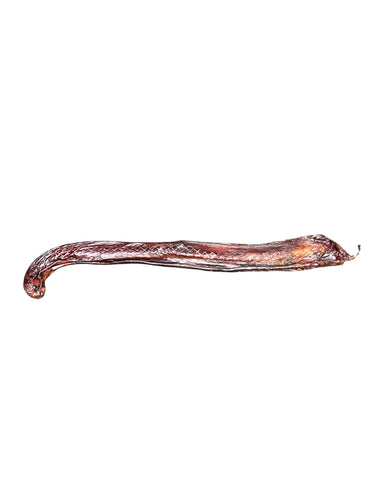 Dehydrated Bull Pizzle