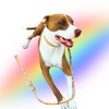 Rainbow Pride Cork Leather Leash