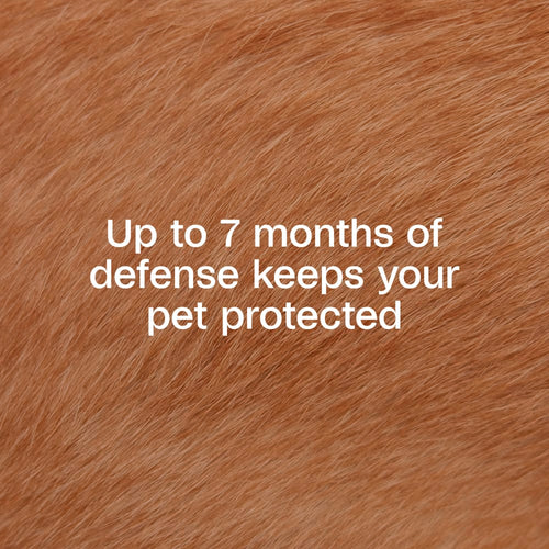 Adams Plus Flea & Tick Collar for Small Dogs & Puppies 7 Month Protection 3PK