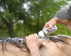 Banixx Medicated Shampoo & Wound Spray 16 oz Horse Dog Coat Pet Skin Care Combo