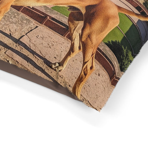 Banjara Hound Pet Bed