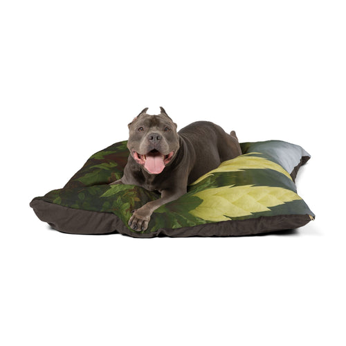 Shihmalt Pet Bed