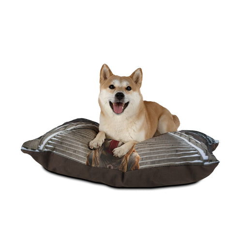 Chongqing Dog Pet Bed