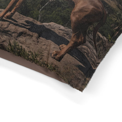 Rhodesian Ridgeback Pet Bed