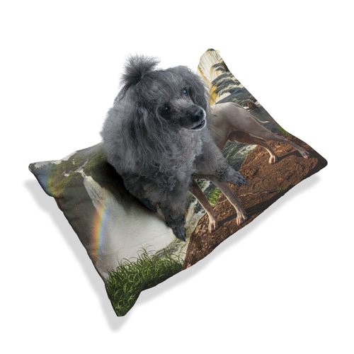 Dogo Argentino Pet Bed
