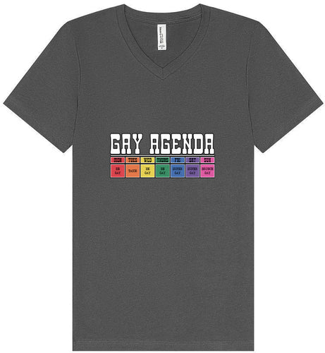 Gay Agenda Unisex V-Neck Shirt