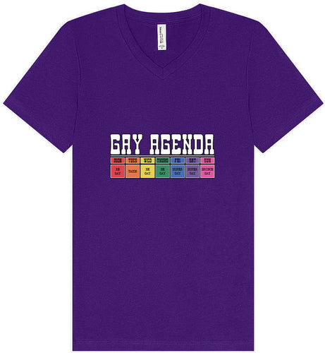 Gay Agenda Unisex V-Neck Shirt