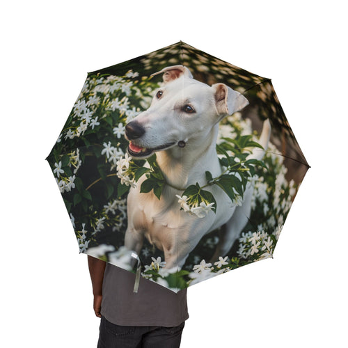 48 Semi-Automatic Umbrella – Windproof Large Travel Rain Umbrella