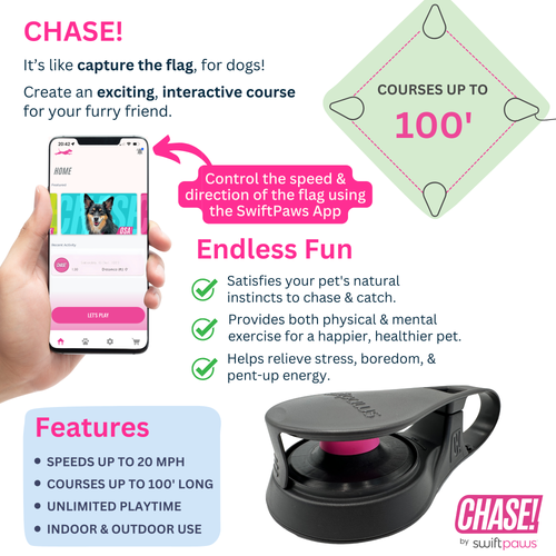CHASE! Kit