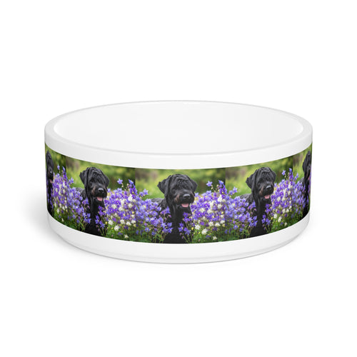 Ceramic Pet Bowl – 16 oz Dog Feeding Bowl