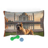 Bully Kutta Pet Bed