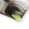 Pet Bed – Plush Dog Bed, 3 Size Options