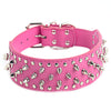 Rivet Studded Large Dog Collar