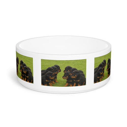 Ceramic Pet Bowl – 16 oz Dog Feeding Bowl
