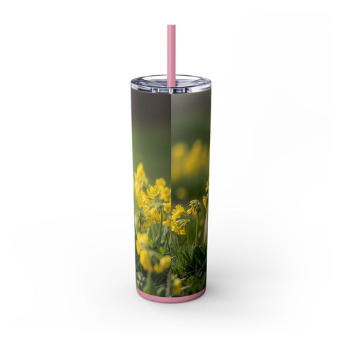 Skinny Tumbler with Straw – 20 oz Stainless Steel Cup