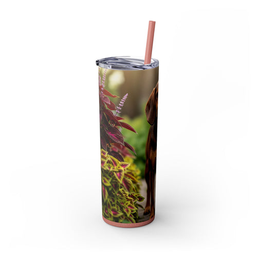 Skinny Tumbler with Straw – 20 oz Stainless Steel Cup