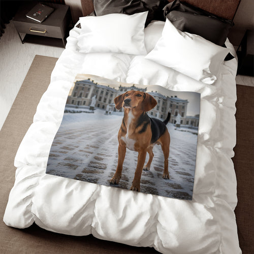 Drever Blanket