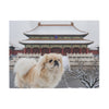 Pekingese Blanket