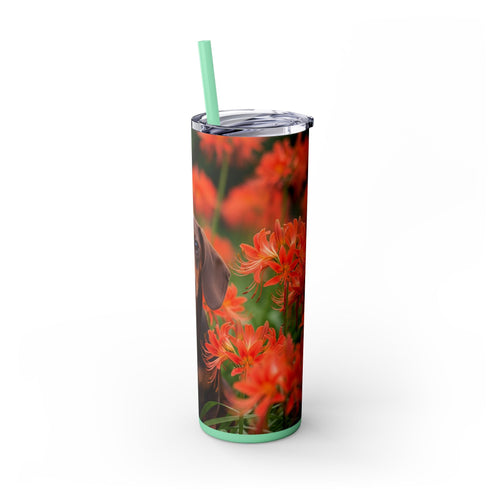 Skinny Tumbler with Straw – 20 oz Stainless Steel Cup