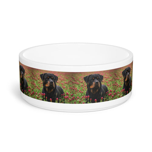 Ceramic Pet Bowl – 16 oz Dog Feeding Bowl