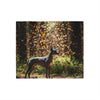 Xoloitzcuintli Blanket