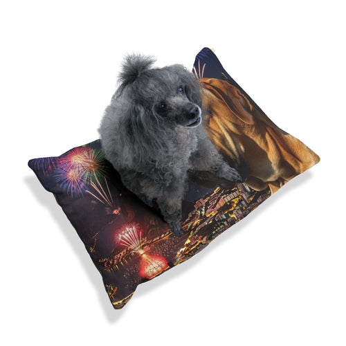 Fila Brasileiro Pet Bed