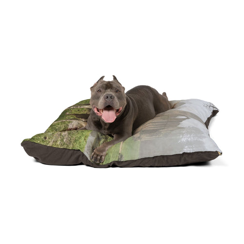 English Water Spaniel Pet Bed