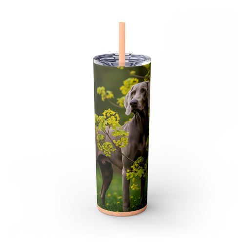 Skinny Tumbler with Straw – 20 oz Stainless Steel Cup