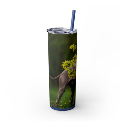 Skinny Tumbler with Straw – 20 oz Stainless Steel Cup