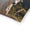 Gull Terrier Pet Bed