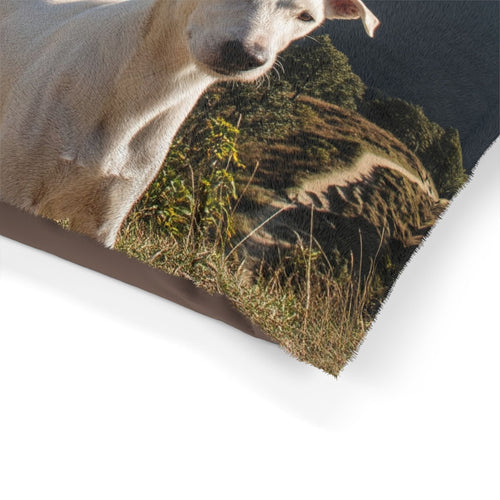 Gull Terrier Pet Bed