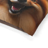 Pet Bed – Plush Dog Bed, 3 Size Options