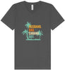 Dad. Husband. Cabana Boy. Unisex V-Neck Shirt