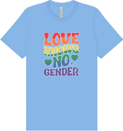 Love Knows No Gender Adult Bella Canvas Shirt