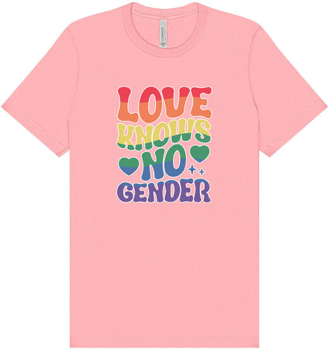 Love Knows No Gender Adult Bella Canvas Shirt