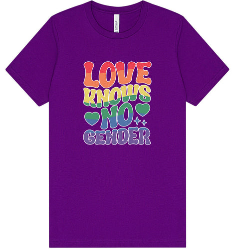 Love Knows No Gender Adult Bella Canvas Shirt