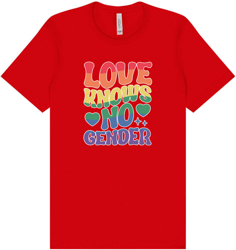 Love Knows No Gender Adult Bella Canvas Shirt