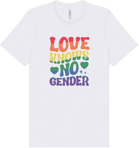 Love Knows No Gender Adult Bella Canvas Shirt