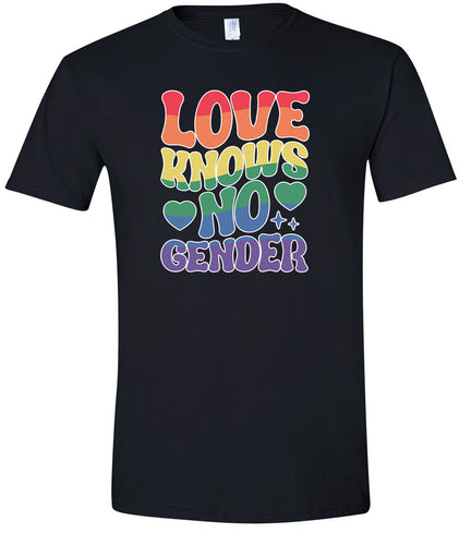 Love Knows No Gender Adult Gildan Soft Shirt
