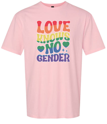 Love Knows No Gender Adult Gildan Soft Shirt