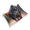 Pet Bed – Plush Dog Bed, 3 Size Options