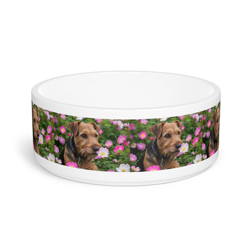 Ceramic Pet Bowl – 16 oz Dog Feeding Bowl