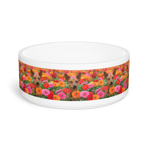 Ceramic Pet Bowl – 16 oz Dog Feeding Bowl